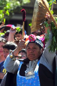 mapuche